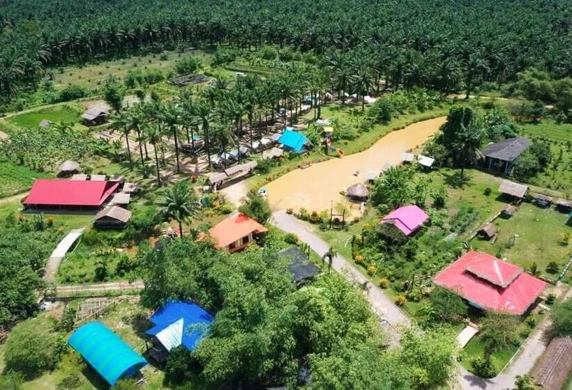 اتاق خانوادگی, Phonphusang Utopia Farmstay