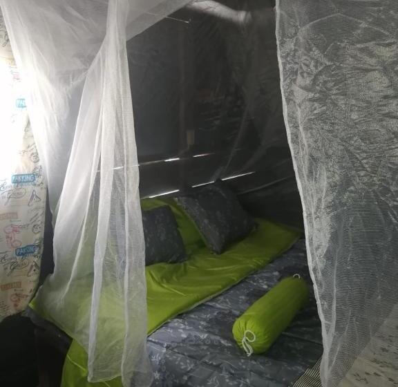 اتاق استاندارد با سرویس بهداشتی مشترک, Farm Lodge La Cabaña