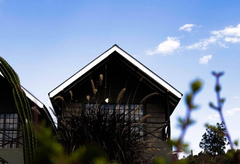 اتاق لوکس, Outback Kenya Lodge