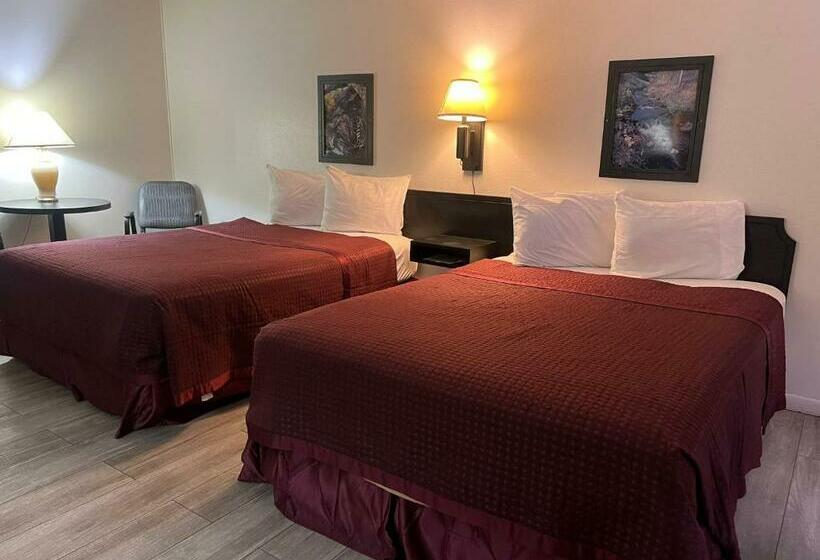 Номер Стандарт, Central Motel