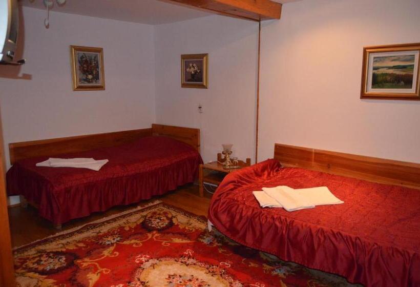 اتاق خانوادگی, Pensiunea Casa Alex