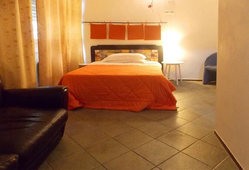 标准单人间, Hostel Colours