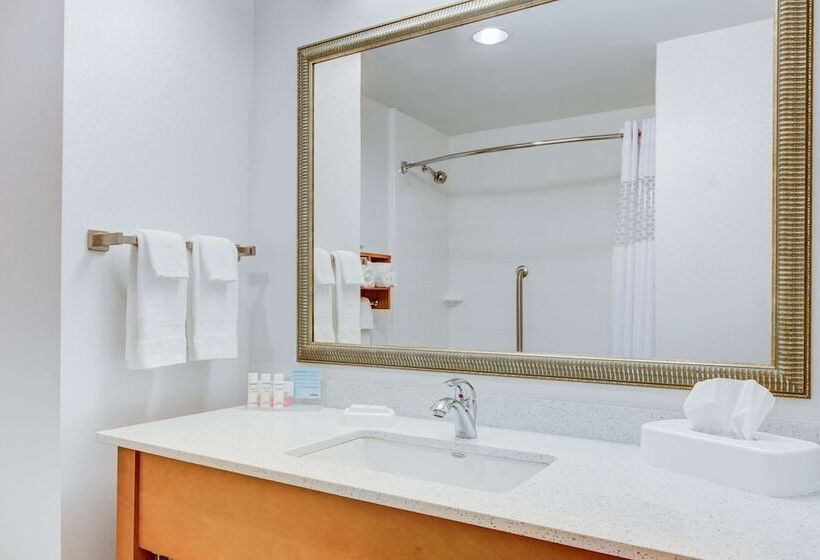 장애인을 위한 스탠다드 룸, Hampton Inn & Suites Manchester