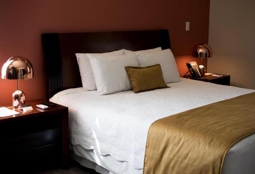 سوئیت پرزیدنت, Camino Plaza