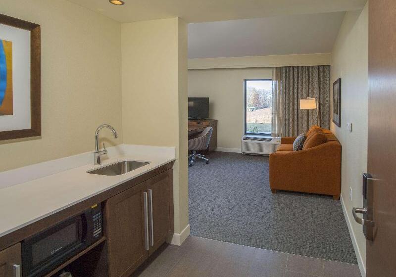 Люкс Кровать Кинг, Hampton Inn & Suites Braselton