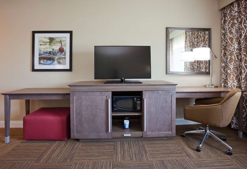 Номер Стандарт Адаптированный для Инвалидов, Hampton Inn Minneapolis Roseville