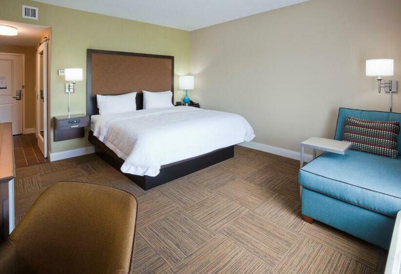 Номер Стандарт Кровать Кинг Адаптированный для Инвалидов, Hampton Inn Minneapolis Roseville
