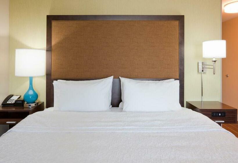 Номер Deluxe Кровать Кинг, Hampton Inn Minneapolis Roseville