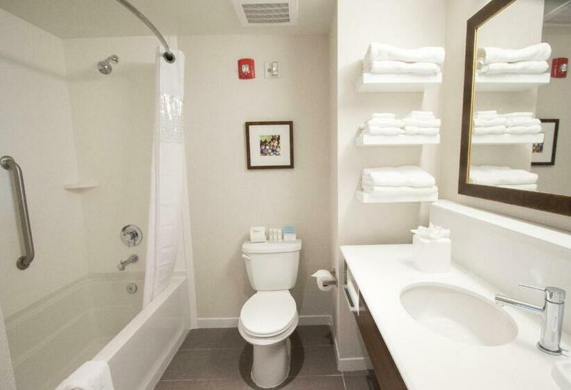 Люкс с Видом, Hampton Inn & Suites Braselton