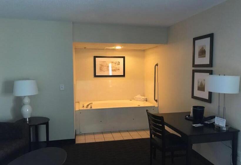 스위트 킹사이즈 침대, Americinn By Wyndham Hotel And Suites Long Lake