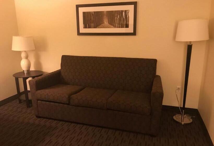 스위트 킹사이즈 침대, Americinn By Wyndham Hotel And Suites Long Lake