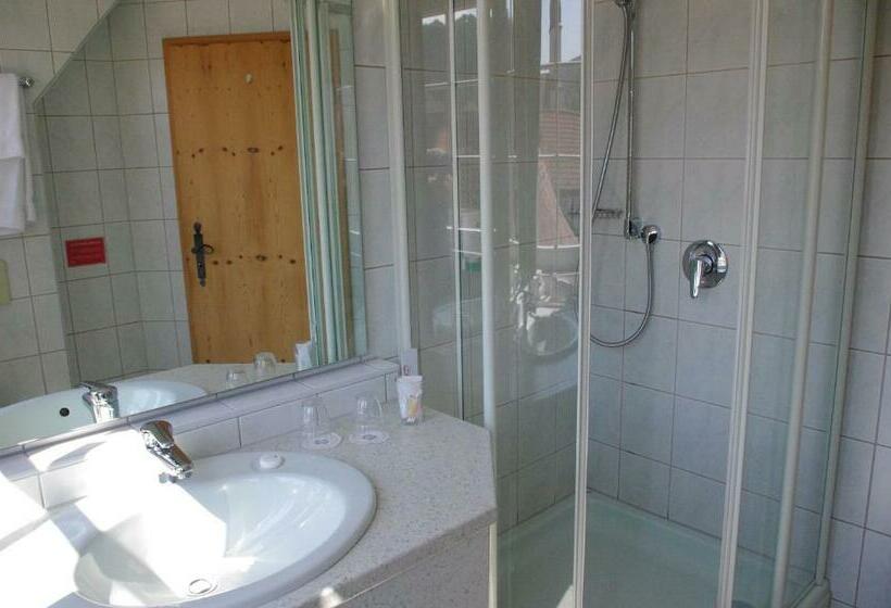اتاق استاندارد یک نفره, Landhotel & Restaurant Kains Hof