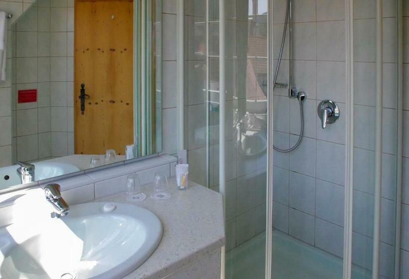اتاق استاندارد یک نفره, Landhotel & Restaurant Kains Hof