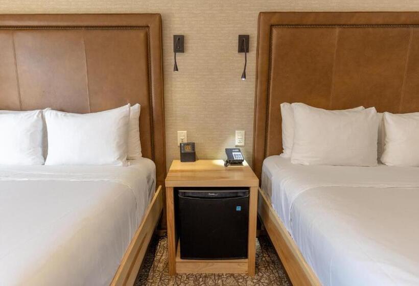高级大房间, Moose Hotel And Suites