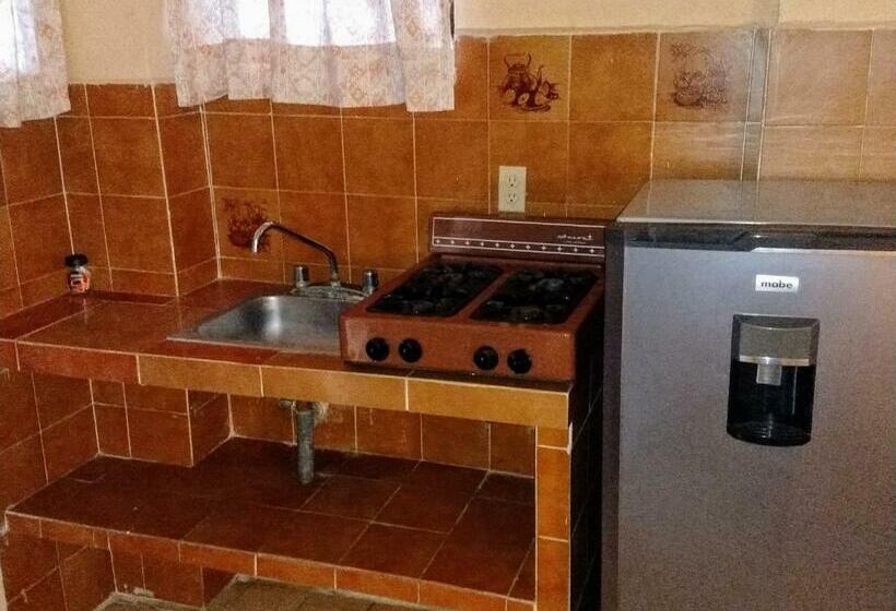 Habitación Estándar, Terramar