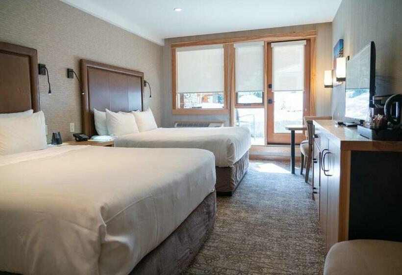 高级大房间, Moose Hotel And Suites
