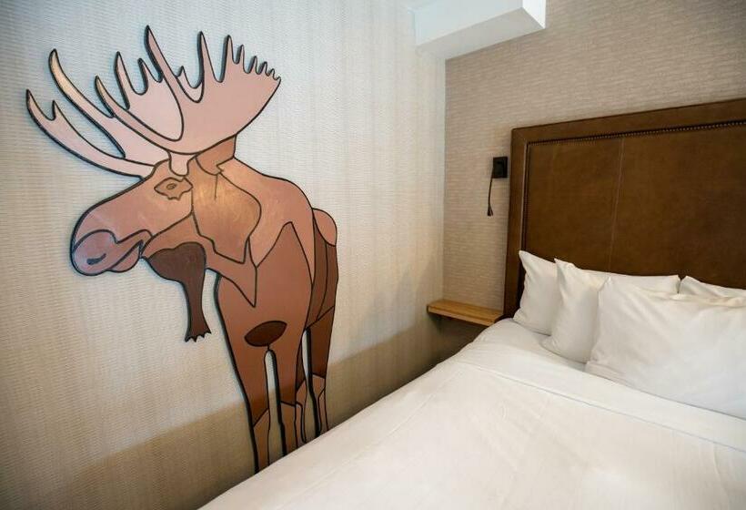 디럭스 룸 킹사이즈 침대, Moose Hotel And Suites