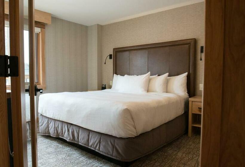 带大床的套房, Moose Hotel And Suites