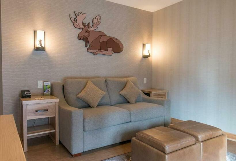 스위트 킹사이즈 침대, Moose Hotel And Suites