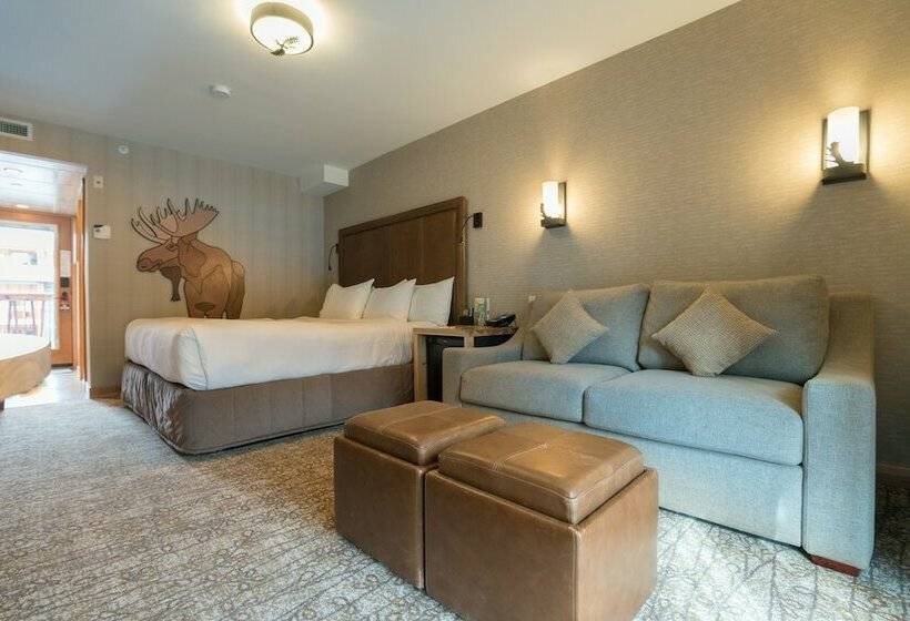 带大床的高级房间, Moose Hotel And Suites