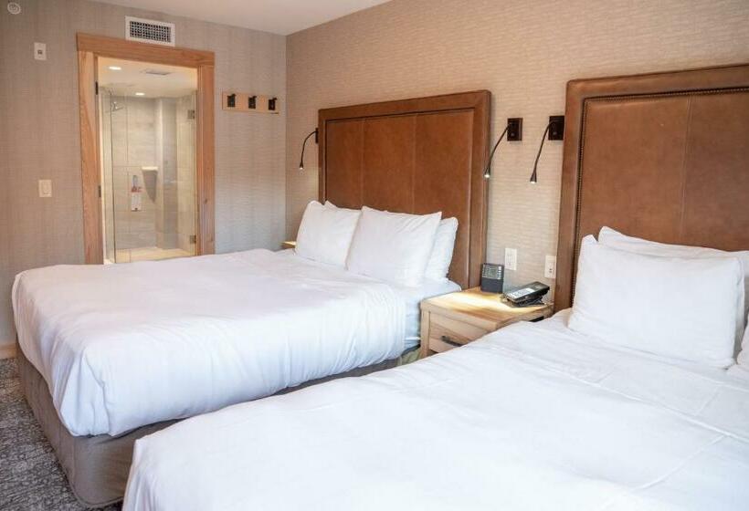 套房, Moose Hotel And Suites