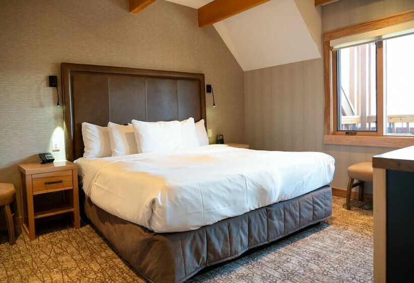 带2个卧室的套房, Moose Hotel And Suites