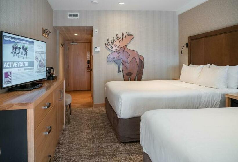 高级大房间, Moose Hotel And Suites