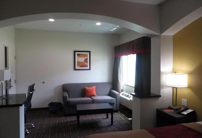 스탠다드 룸 킹사이즈 침대, Scottish Inns & Suites Spring   Houston North