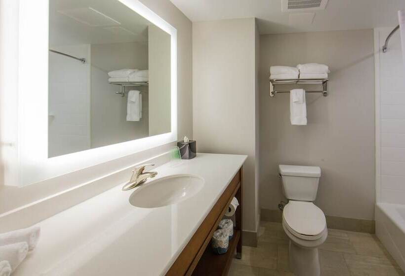 סוויטה, Holiday Inn Express Gatlinburg Downtown, An Ihg