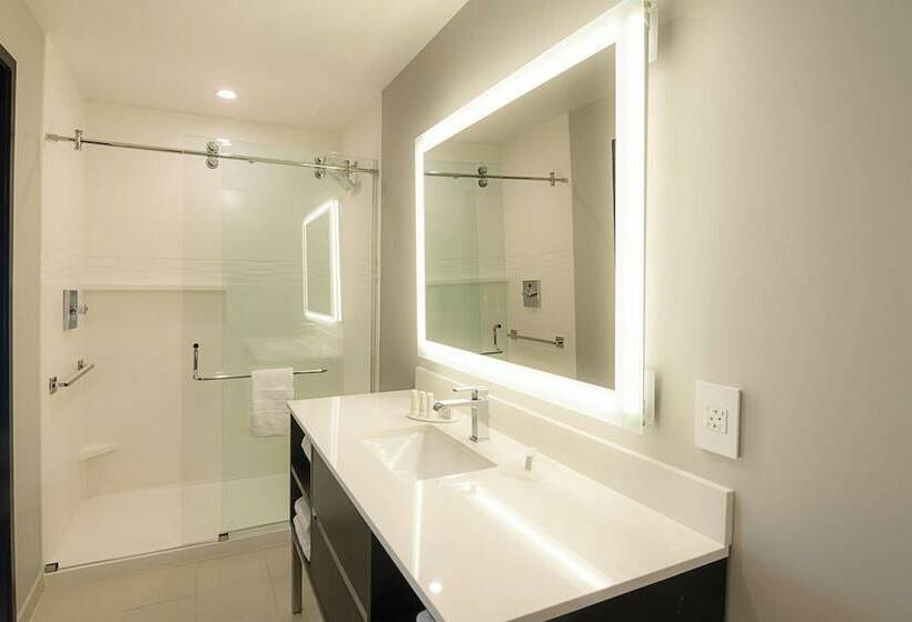 Suite, Springhill Suites By Marriott Fort Worth Fossil Creek