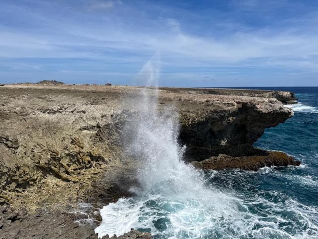 اتاق استاندارد, Bonaire 2 Stay Playa