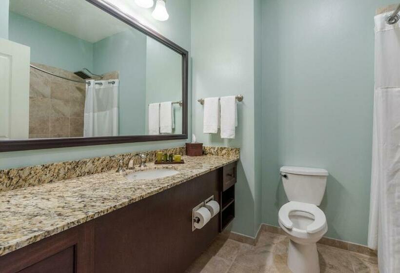 Номер Deluxe, Chateau Saint Denis A Historic Hotel Downtown Natchitoches