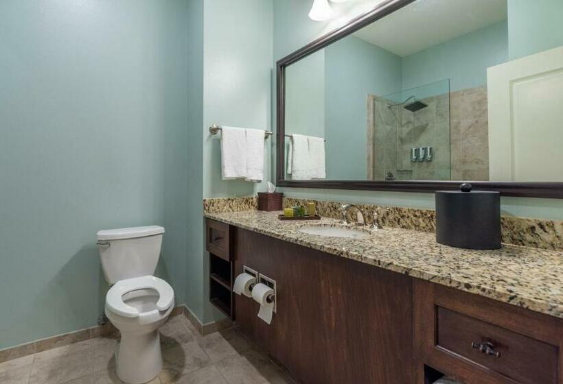 Номер Deluxe Кровать Кинг, Chateau Saint Denis A Historic Hotel Downtown Natchitoches