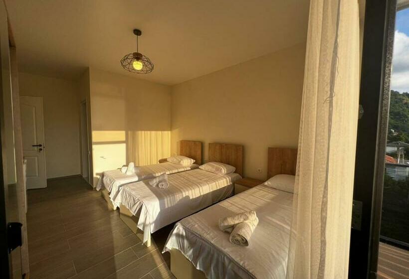 اتاق استاندارد سه تخته با چشم‌انداز, Heart Hotel Gonio