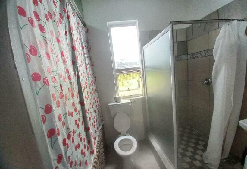 تختخواب در اتاق مشترک, Home Away On Plein