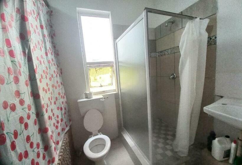 تختخواب در اتاق مشترک, Home Away On Plein