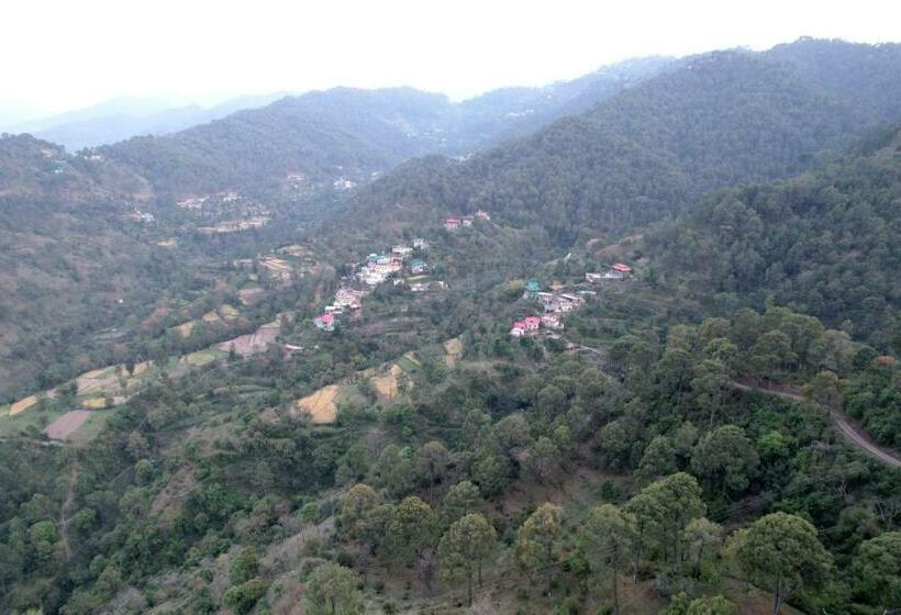 Номер Стандарт Индивидуальный, Himalayan Hits Kasauli