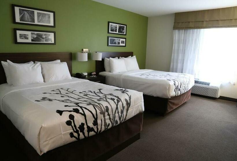 스탠다드 룸, Sleep Inn Ellenboro Hwy 50