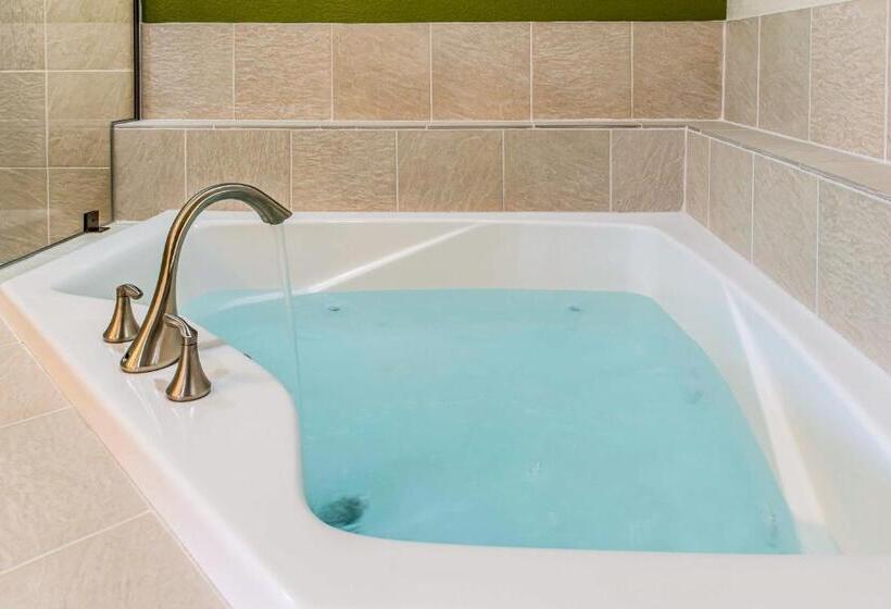 스위트 킹사이즈 침대, Sleep Inn Ellenboro Hwy 50
