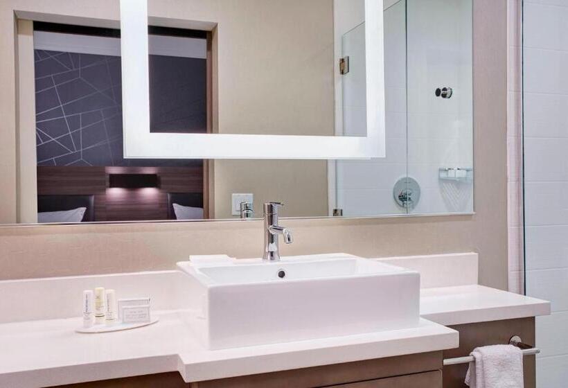 带双人大床的行政管理套房, Springhill Suites By Marriott Milwaukee Downtown