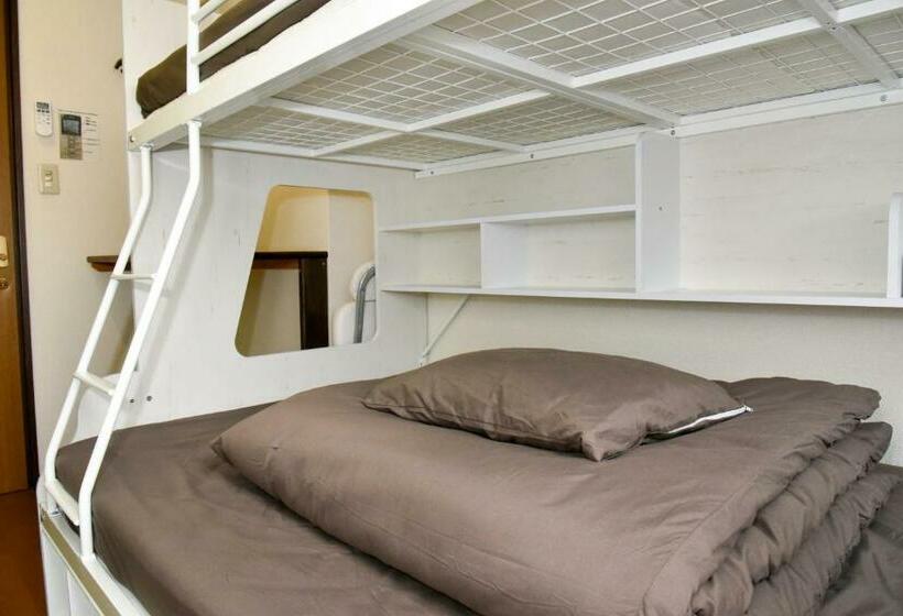 Номер Стандарт с Койками, Green Guest House