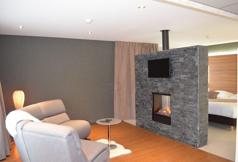 Люкс, Brit Hotel & Spa Saint Brieuc Plérin