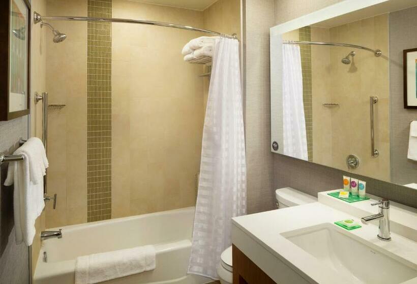 اتاق استاندارد با تخت بزرگ, Hyatt Place Lubbock