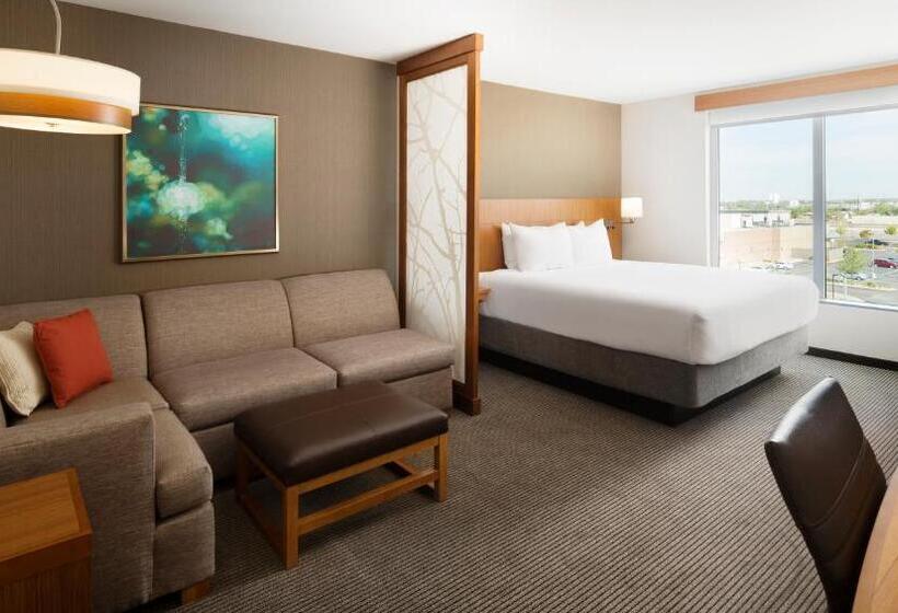 اتاق استاندارد با تخت بزرگ, Hyatt Place Lubbock
