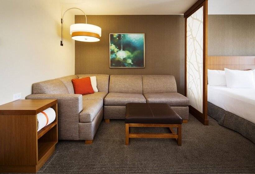 اتاق استاندارد با تخت بزرگ, Hyatt Place Lubbock