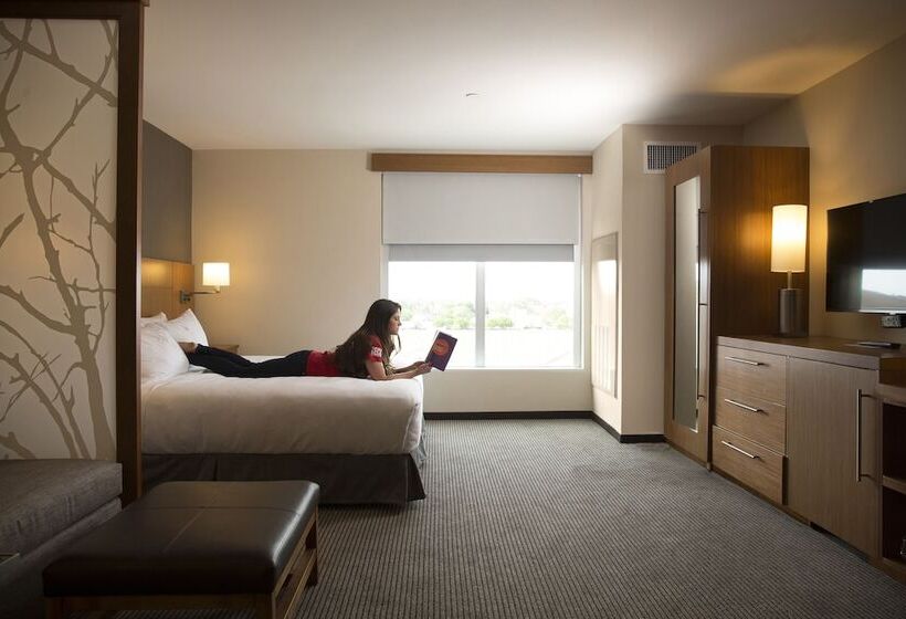 سوئیت با تخت بزرگ, Hyatt Place Lubbock
