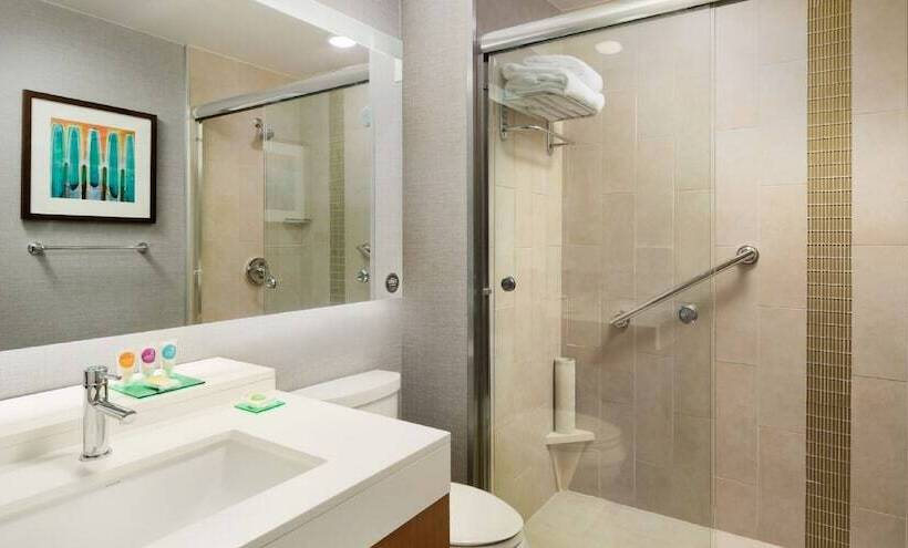 سوئیت با تخت بزرگ, Hyatt Place Lubbock