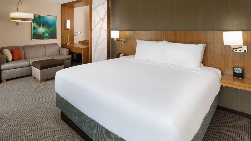 اتاق استاندارد با تخت بزرگ, Hyatt Place Lubbock