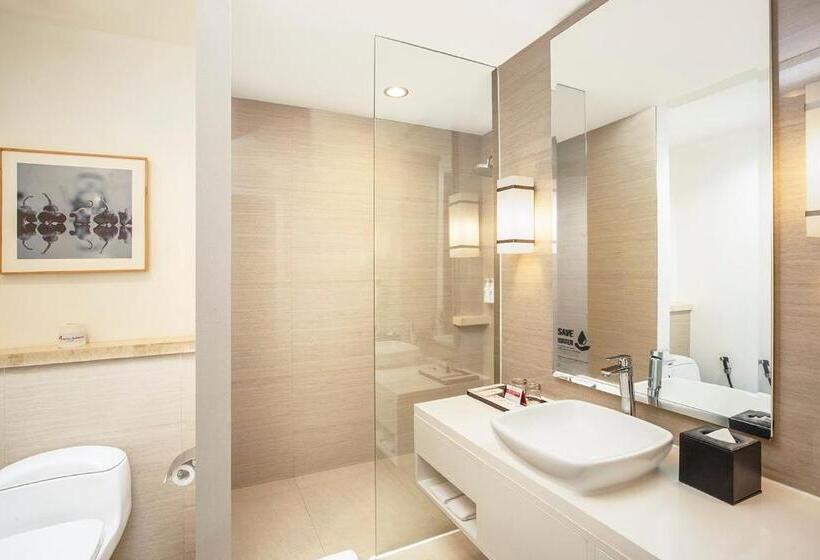 Номер Стандартный с Видом, Swiss Belhotel Jambi