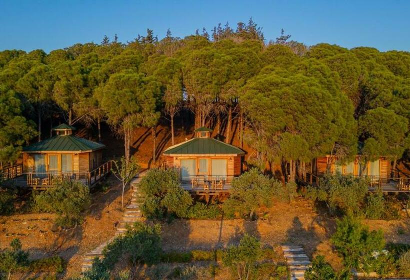 Шале 1 Спальня, Kairos Valley Health & Nature Resort